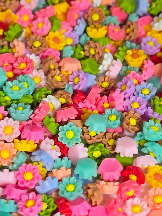 Pastel Roses- Small Decorative Charms 10grams