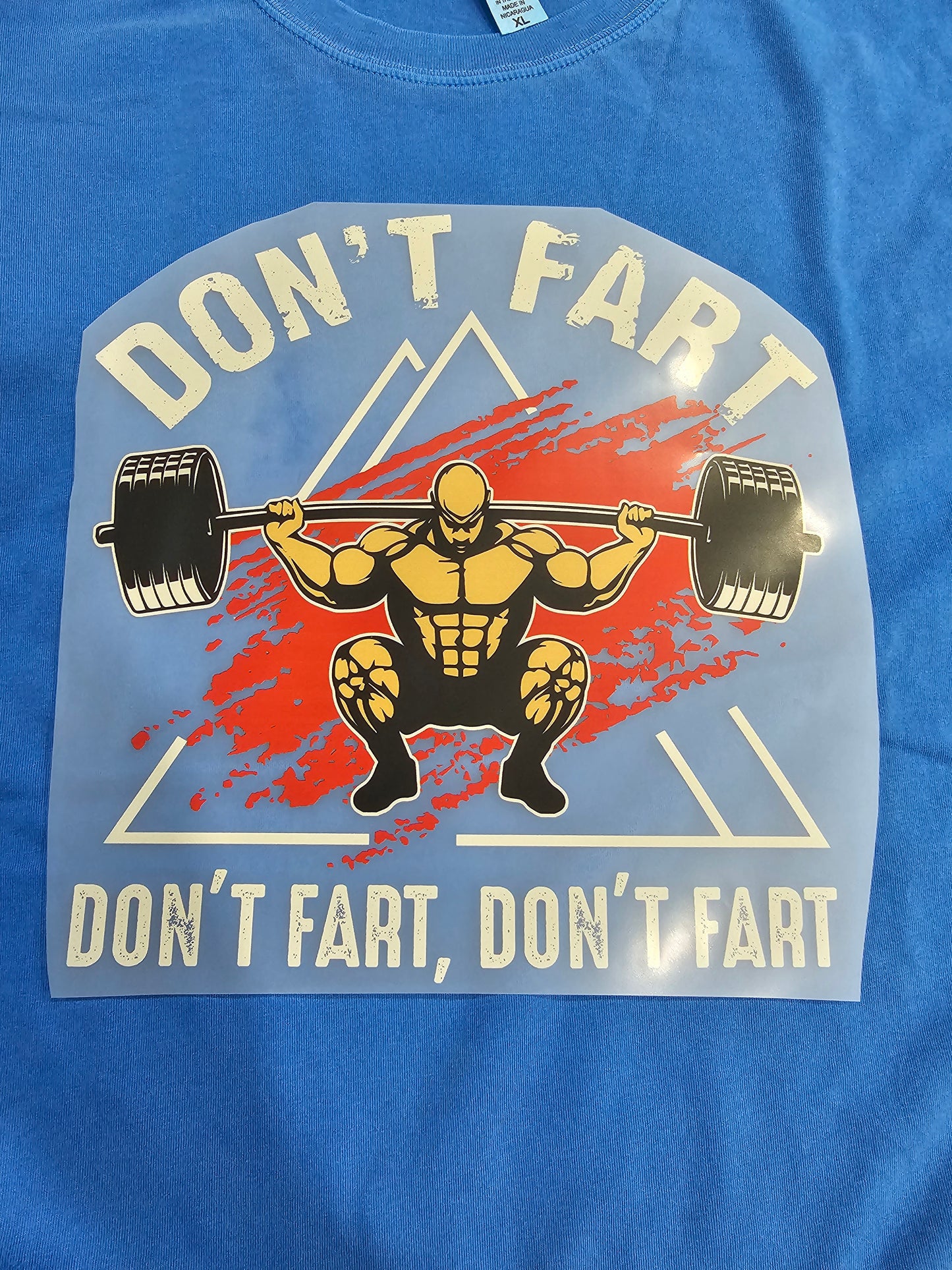 Don't Fart, Don't fart  -DTF Transfer 10 x 10 inches