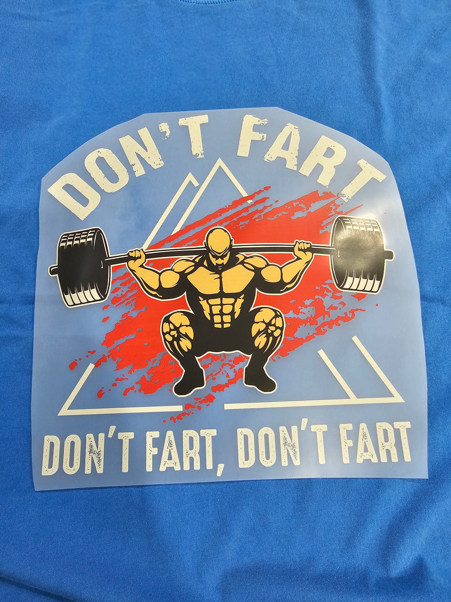 Don't Fart, Don't fart  -DTF Transfer 10 x 10 inches